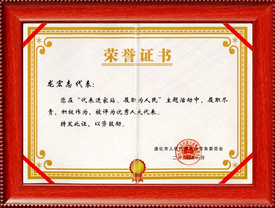 企業(yè)榮譽(圖1) 09.jpg